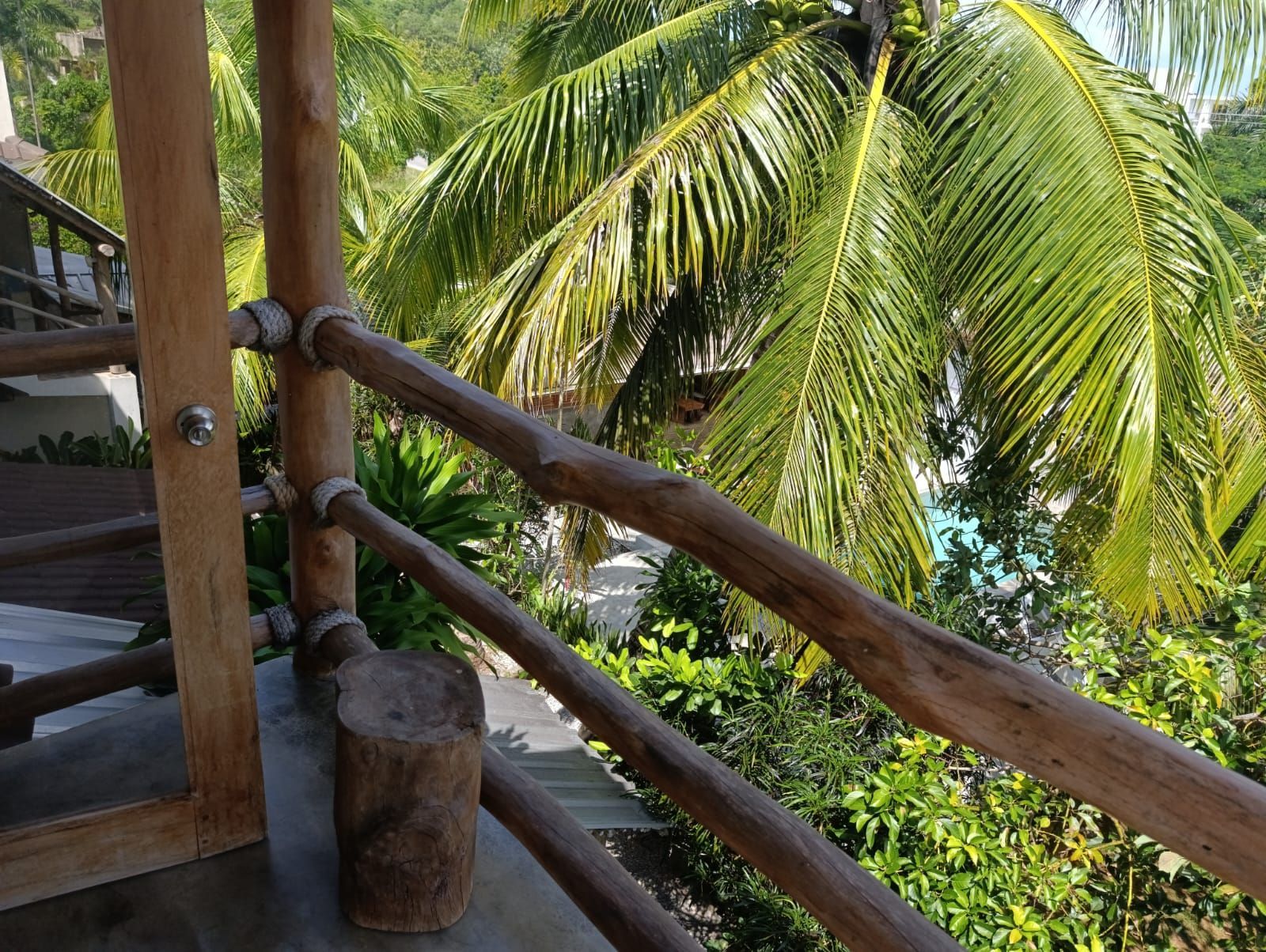 Wooden railing on a balcony overlooking lush green palm trees and foliage.