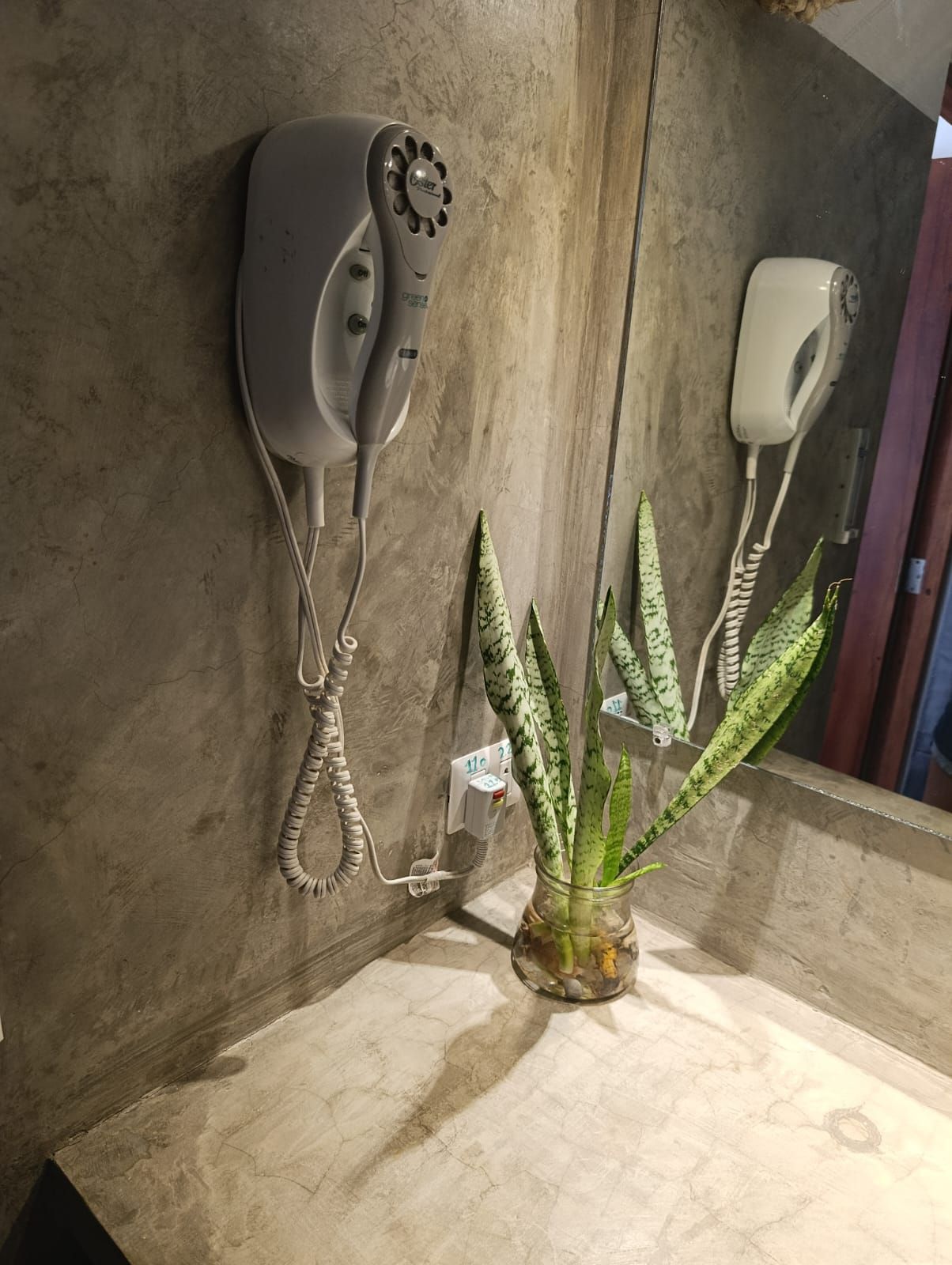 Grey wall with shower head and mirror, a plant in a vase on counter.