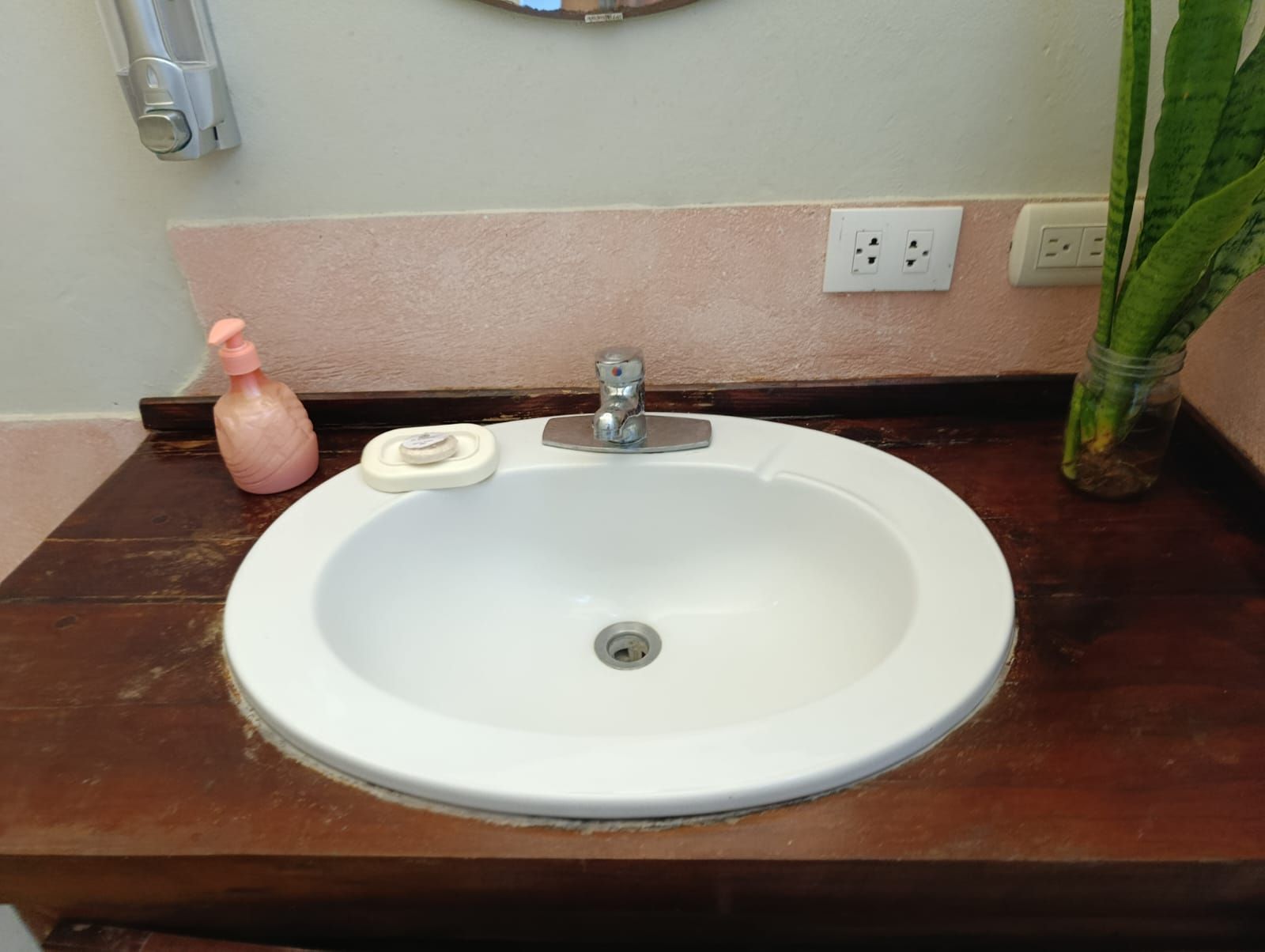 White sink on dark wood counter with soap and plants, near a light pink wall.