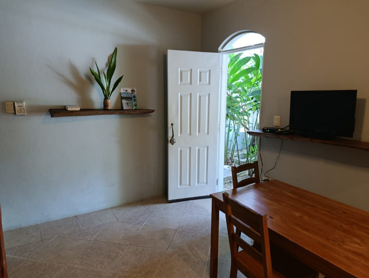 Room with open white door, wooden table and chairs, a shelf with a plant, and a TV.