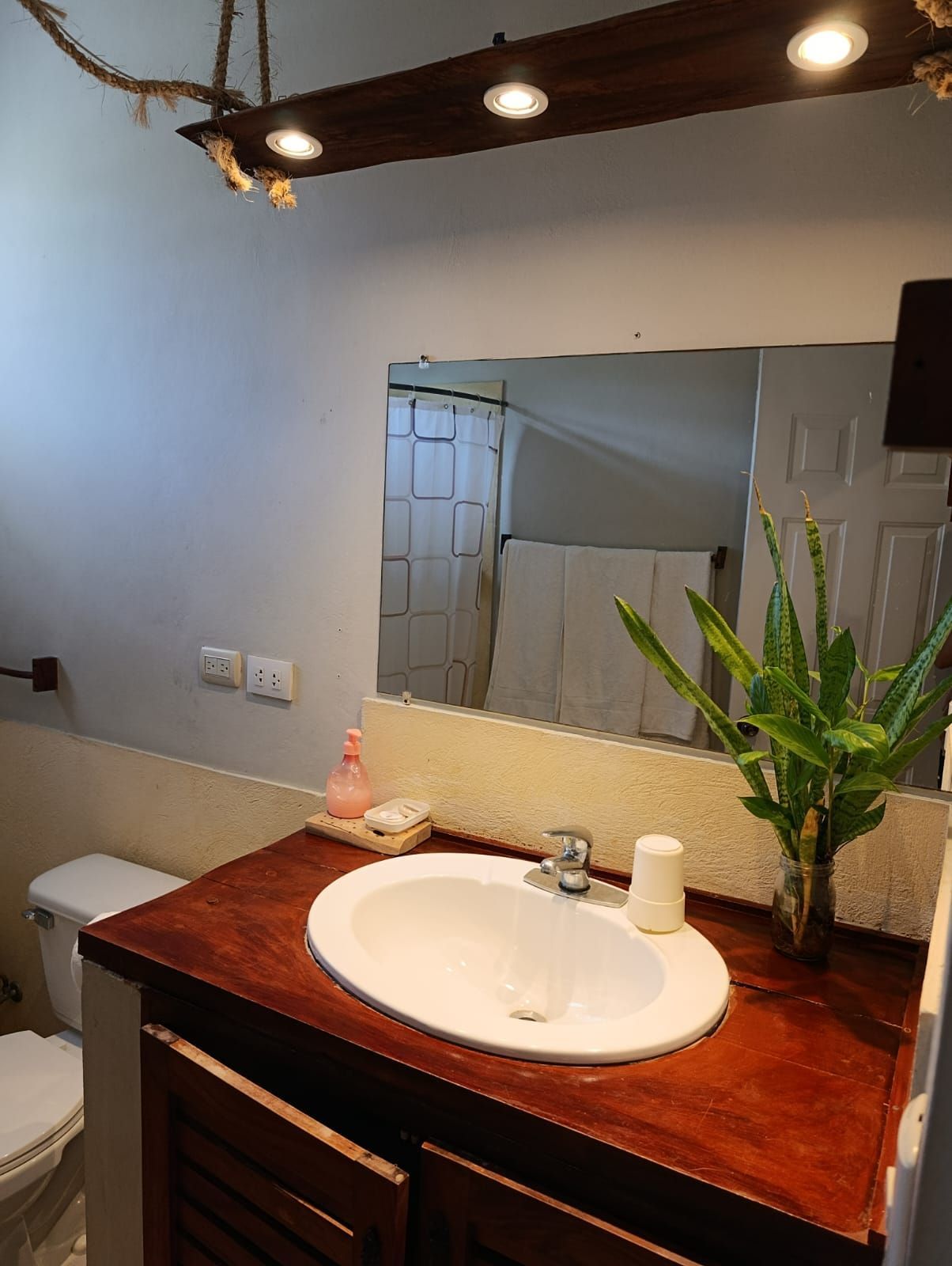Bathroom with wooden vanity, white sink, mirror, and green plant.
