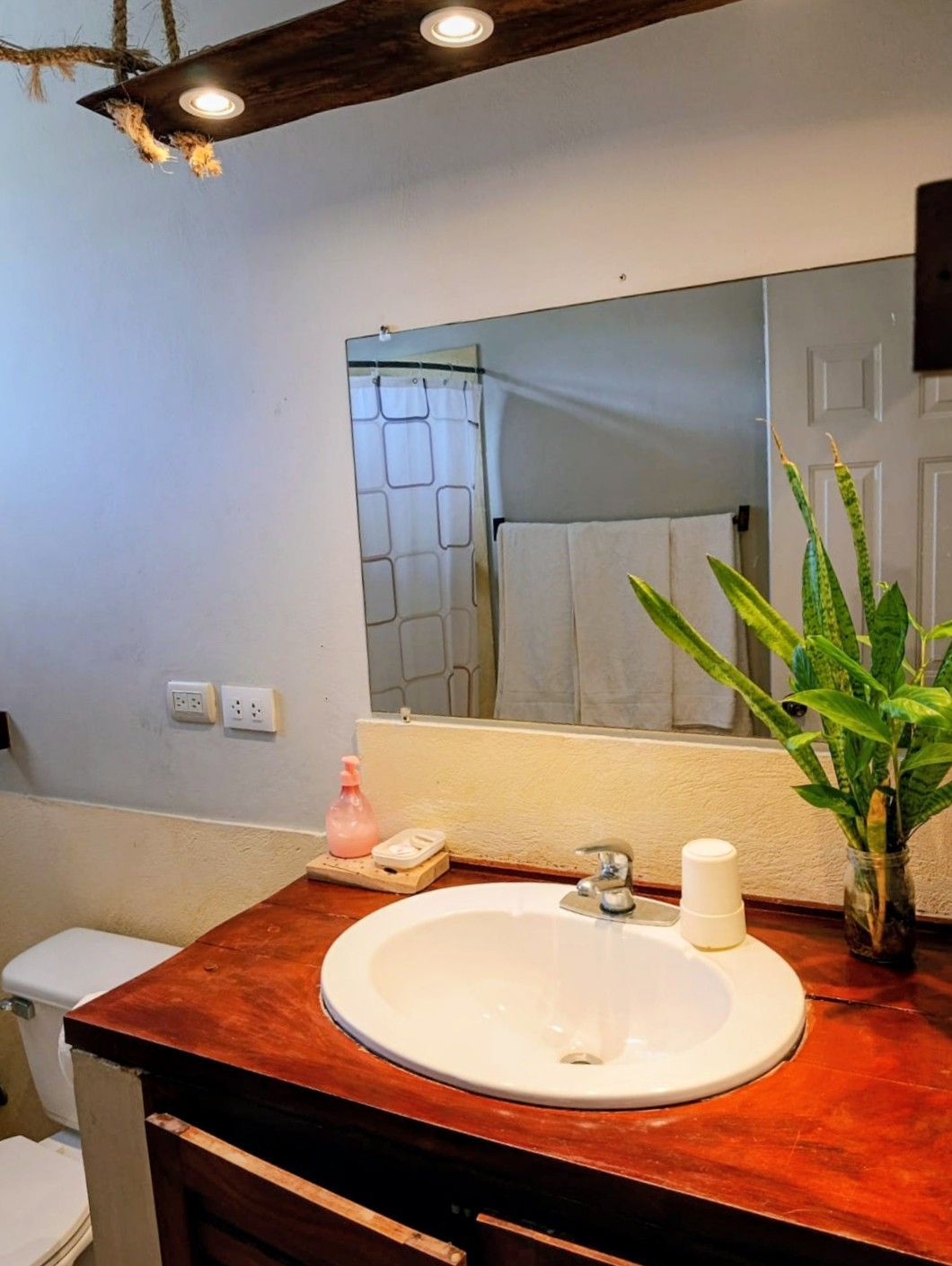 Bathroom with wooden vanity, white sink, large mirror, and plant. Toilet visible.