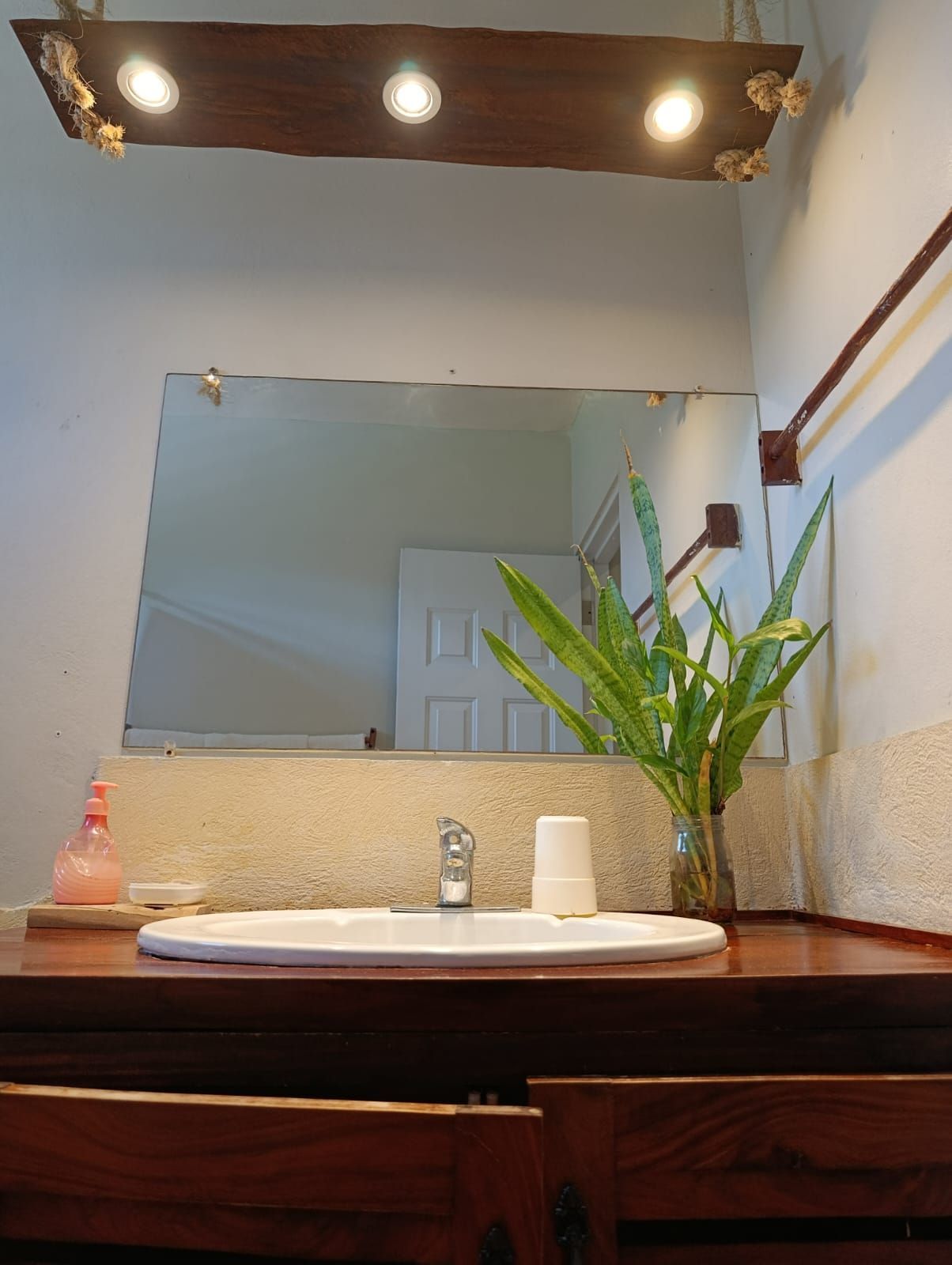 Bathroom vanity with mirror, sink, and plant, lit by overhead lights. Wooden accents, white and brown tones.