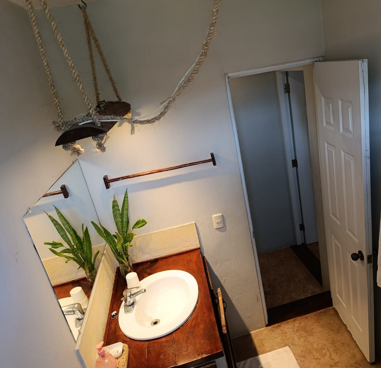 Bathroom with a sink, mirror, and open door.  Plants and a towel rack visible.