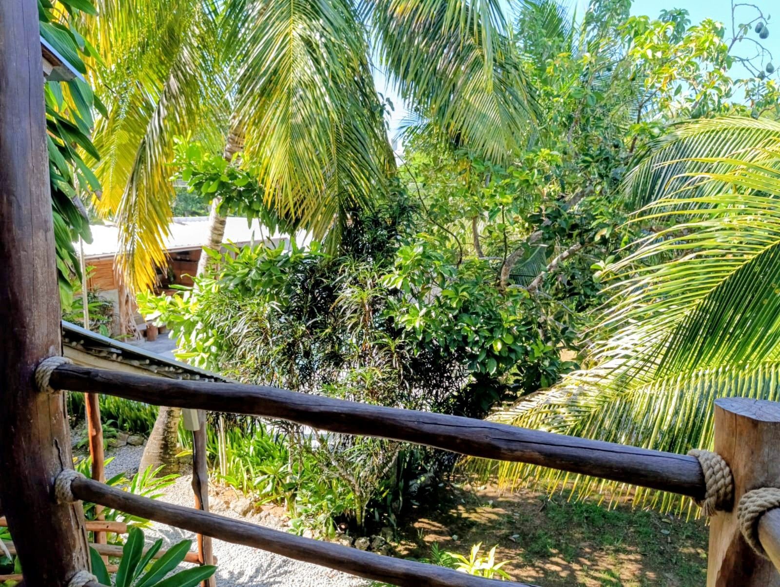 Wooden railing overlooks lush tropical vegetation: palms, other trees, and a distant building.