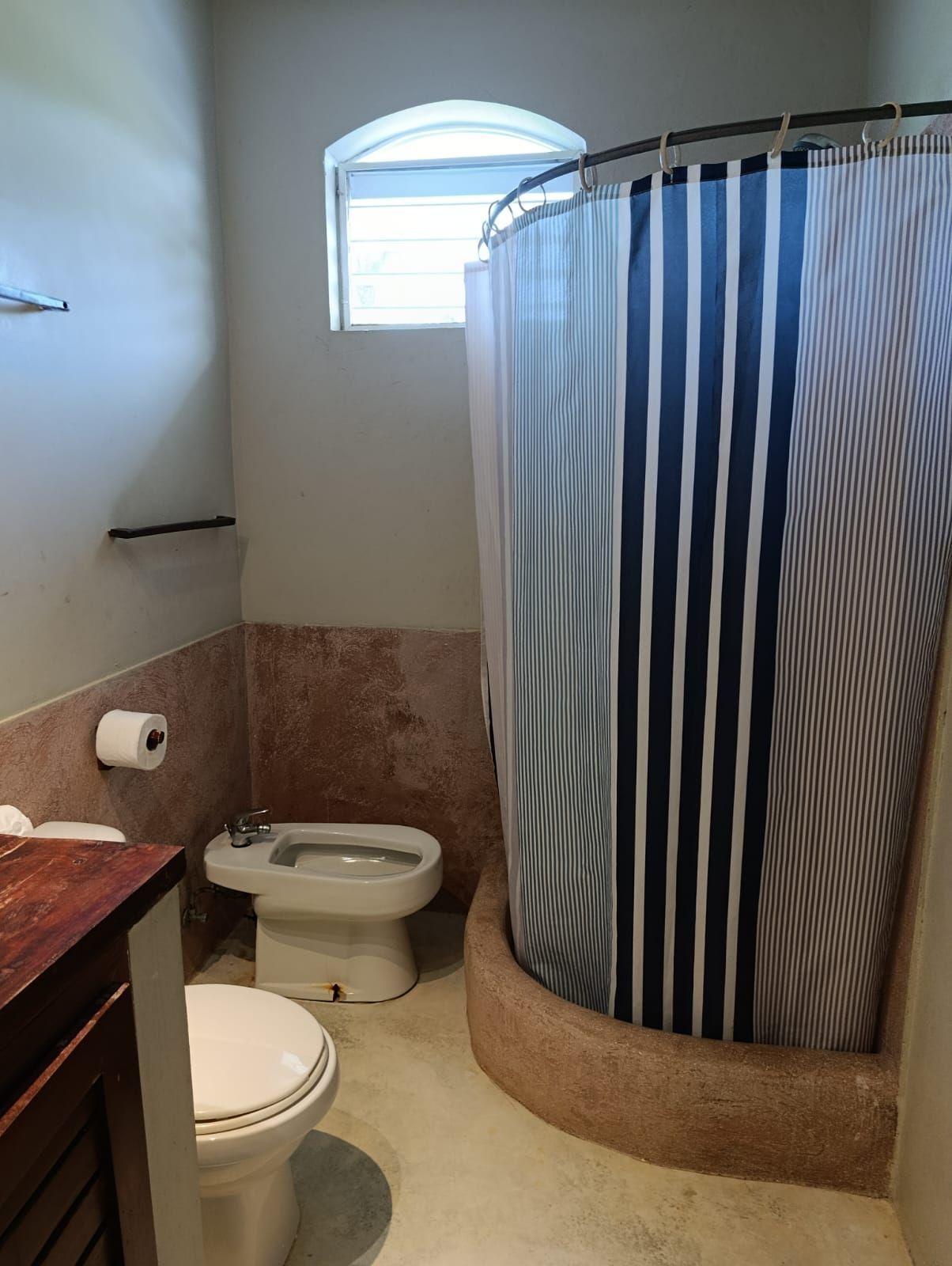 Bathroom with a striped shower curtain, toilet, bidet, and small arched window.