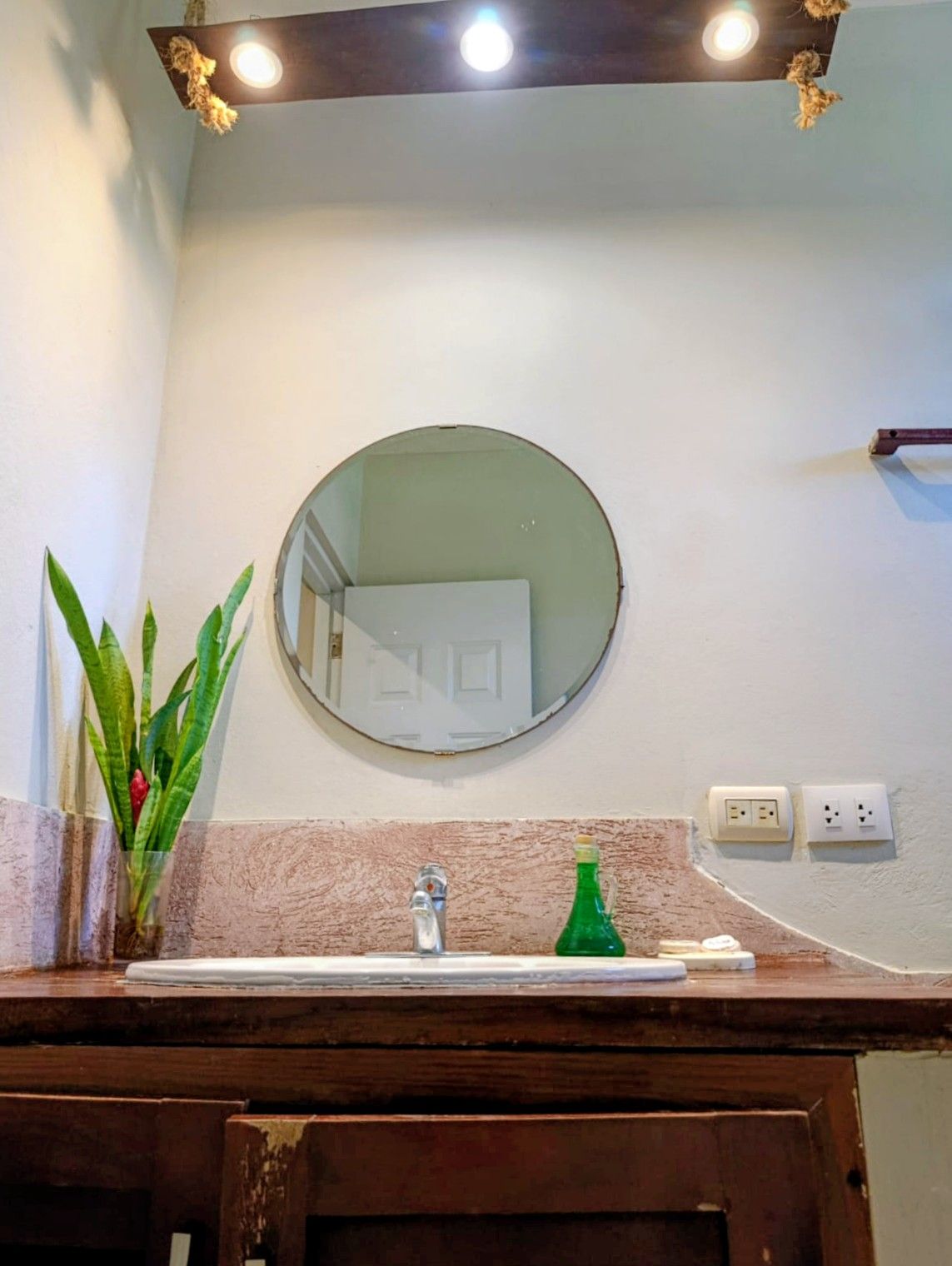 Bathroom with round mirror, sink, wooden counter, and green plant.