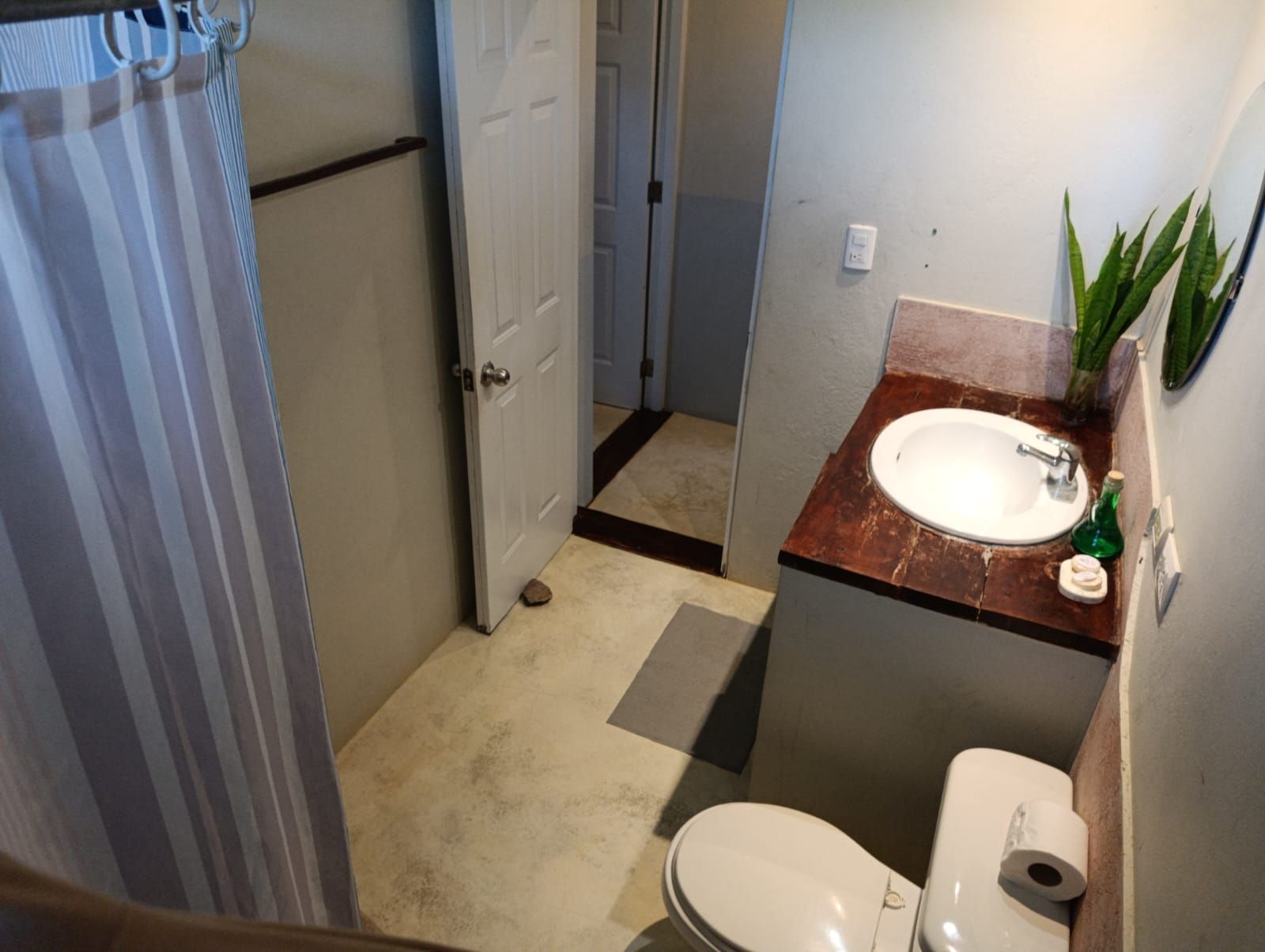 Small bathroom with toilet, sink, and shower curtain. Gray walls, brown countertop.