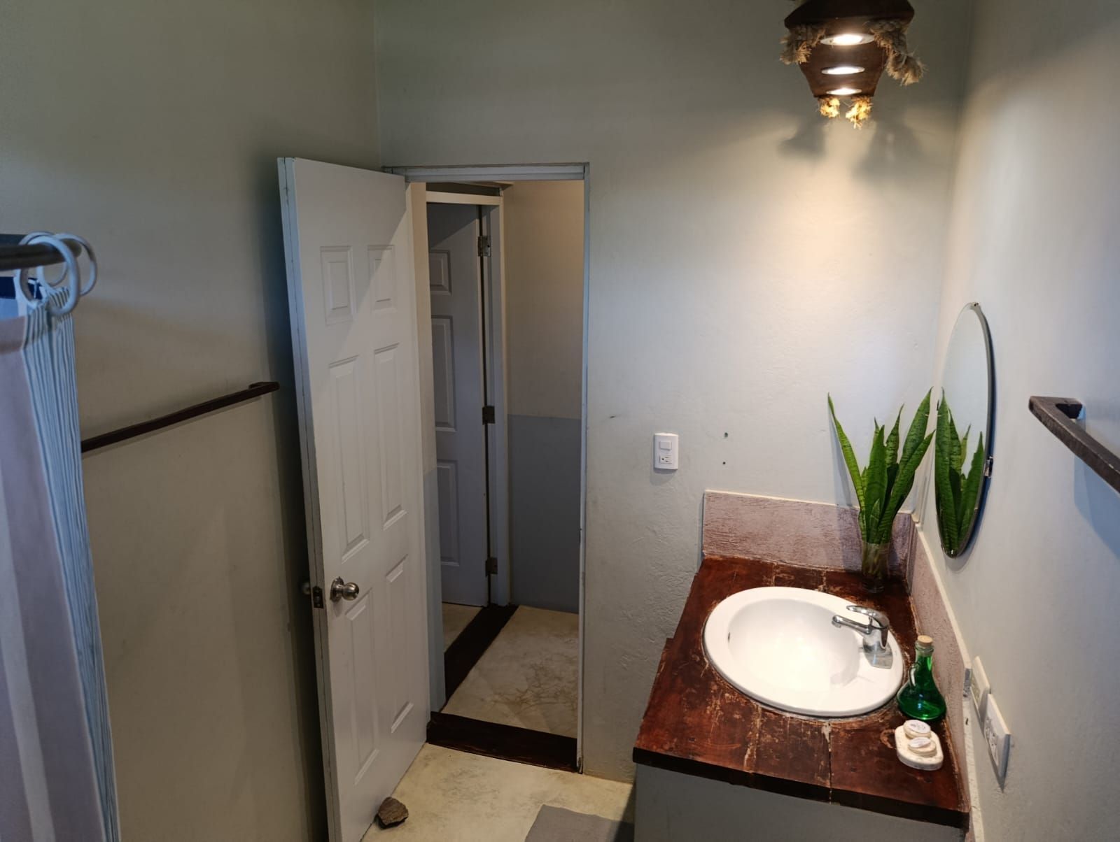 Bathroom with white sink, brown countertop, open door to another room, light blue walls, and plants.