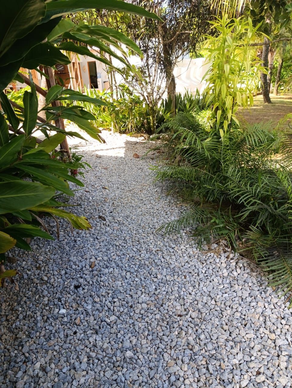 A gravel path winds through a garden, lined with lush green plants.