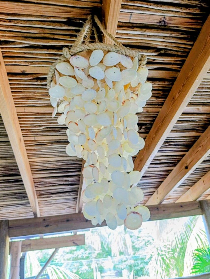 Shell chandelier hanging from a wooden ceiling, white shells cascading downward.