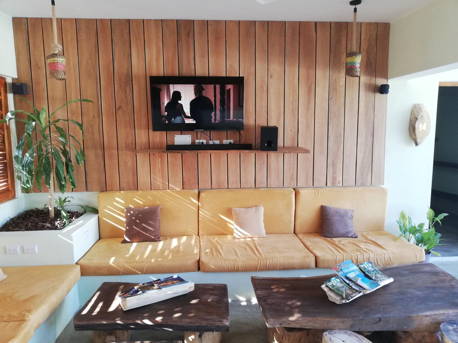 Living room with wooden wall, TV, sofa, coffee tables, and plants.