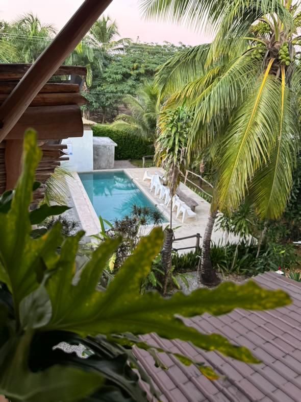 Pool surrounded by tropical plants and a deck; sunny outdoor setting.