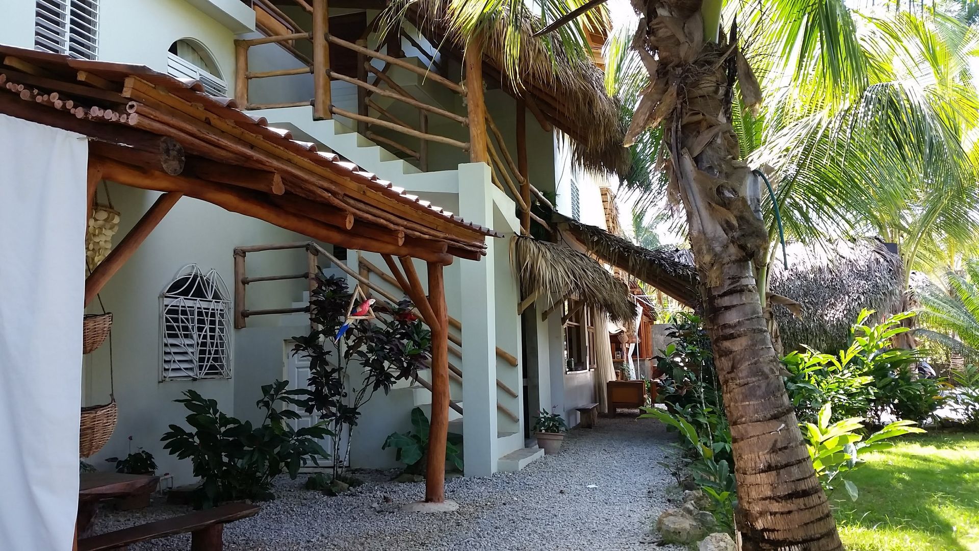 A light green building with wooden accents, surrounded by palm trees and gravel path.