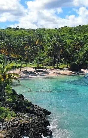 Tropical beach with turquoise water, sandy shore, palm trees, and lush green hills.