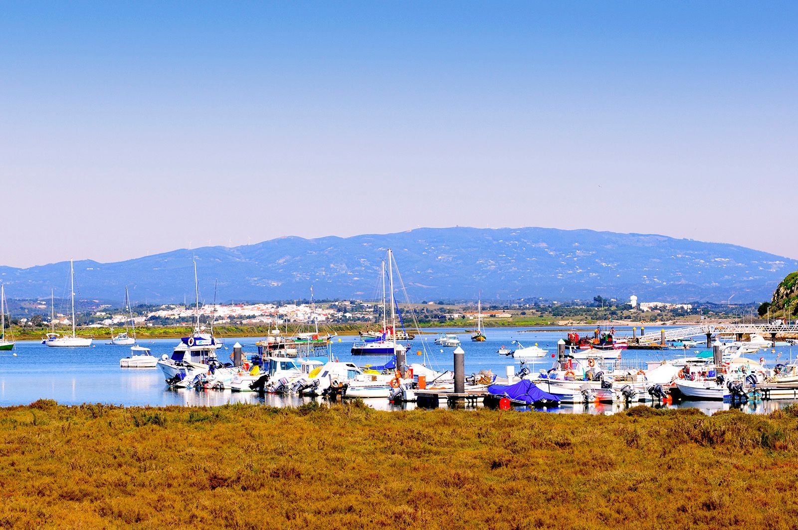 Boats docked at a harbor with a mountain range in the background and dry grass in the foreground under a blue sky.