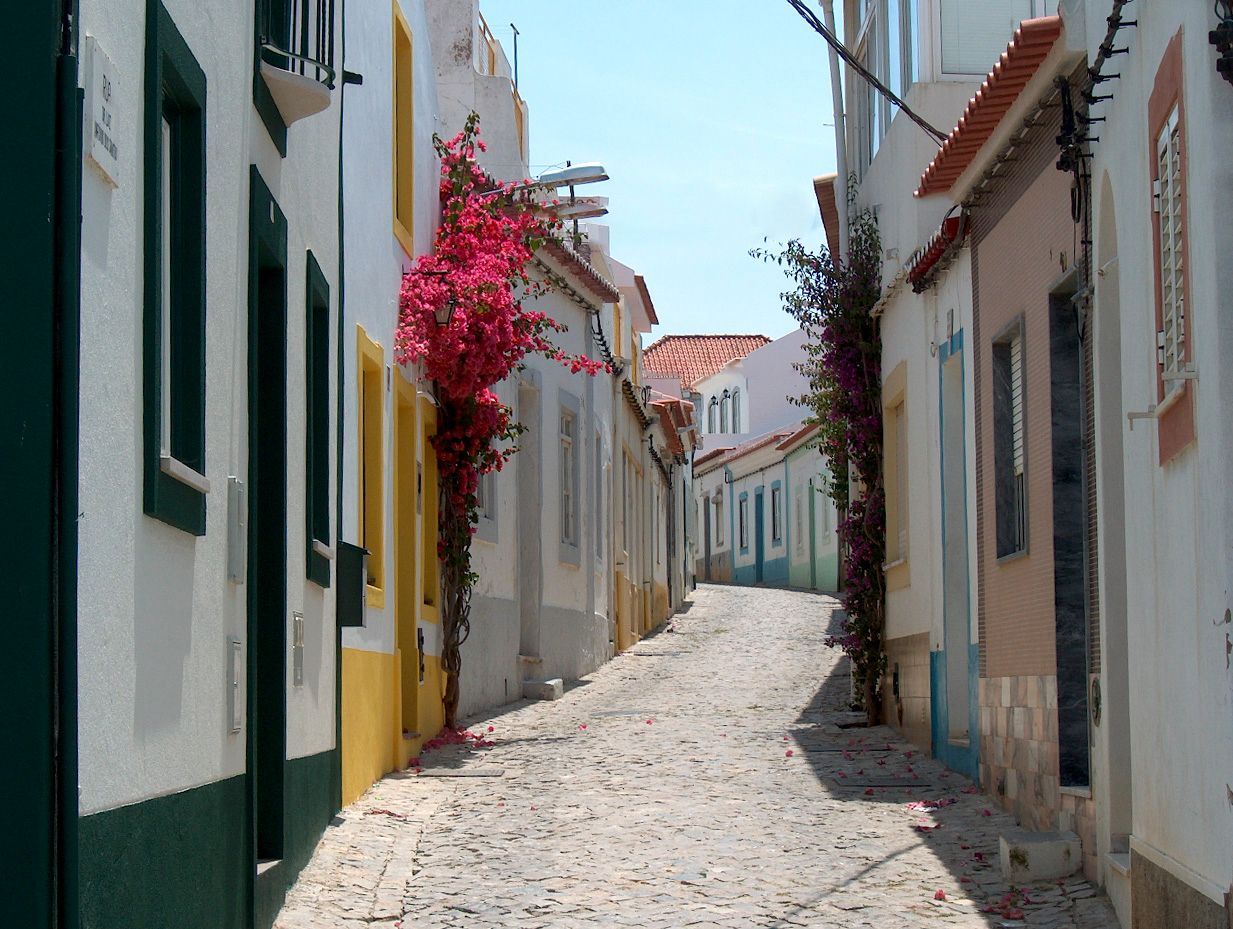 Cobblestone street lined with white buildings, red flowers, and blue sky.