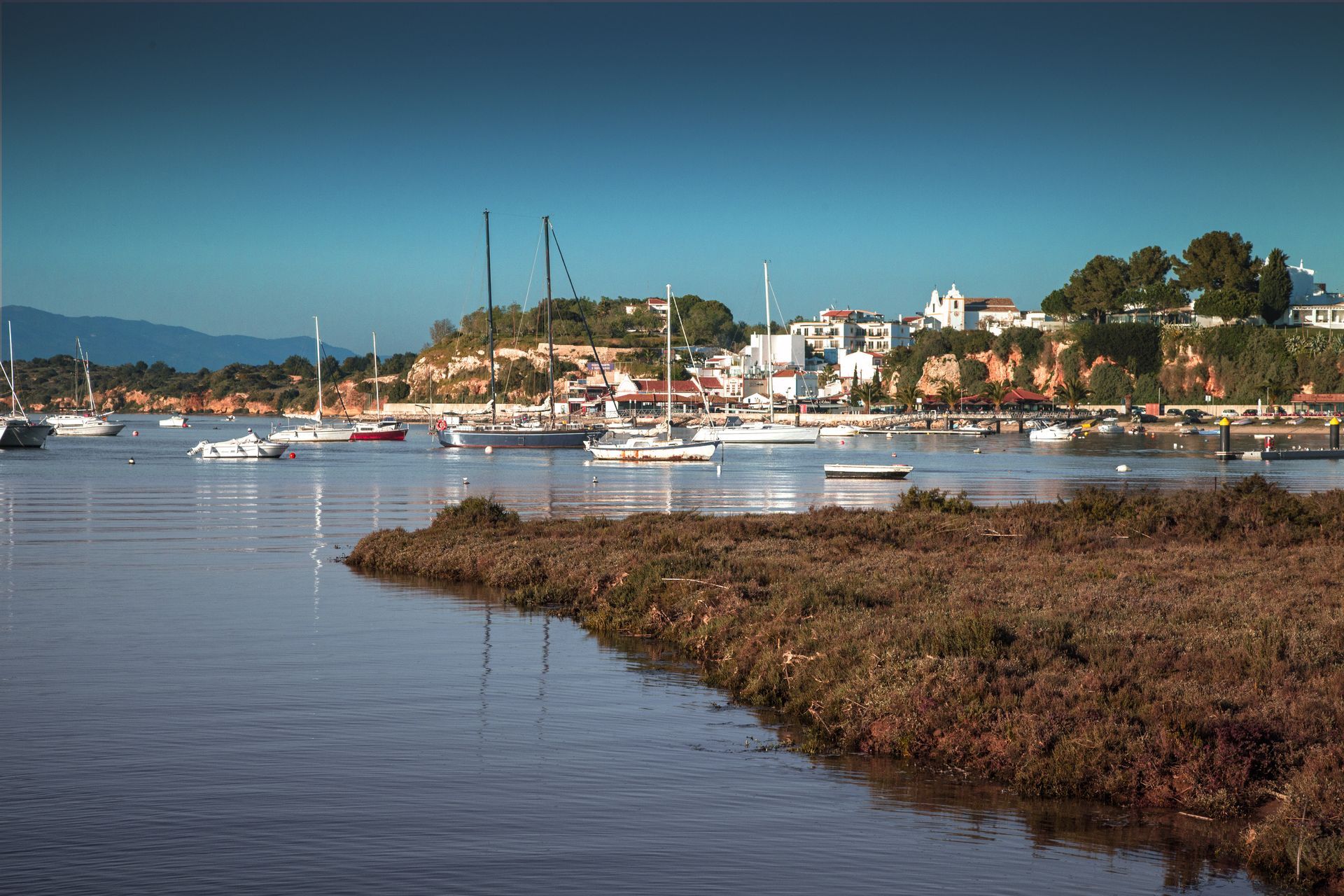 Bay with boats and buildings on the shore under a blue sky, with vegetation in the foreground.