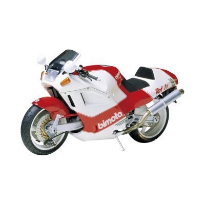 Bimoto Tesi 1D model