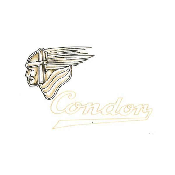 Condor Logo