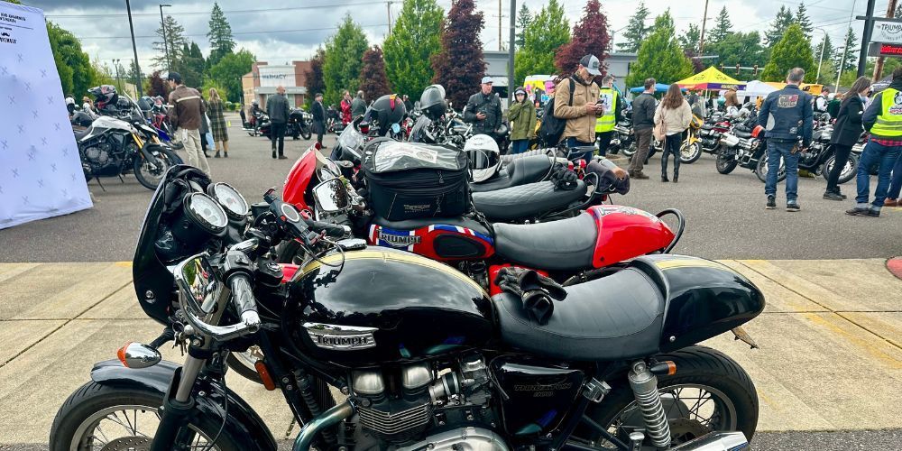 A row of motorcycles are parked on the sidewalk in a parking lot.