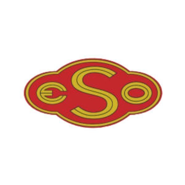 ESO Logo