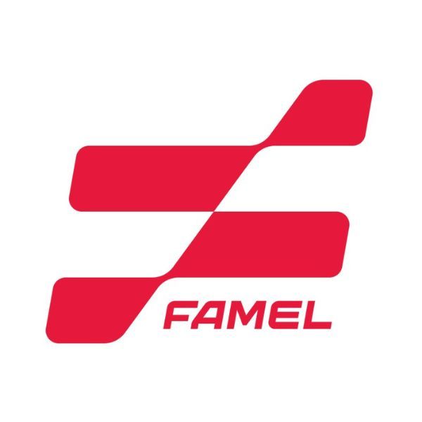 FAMEL Logo