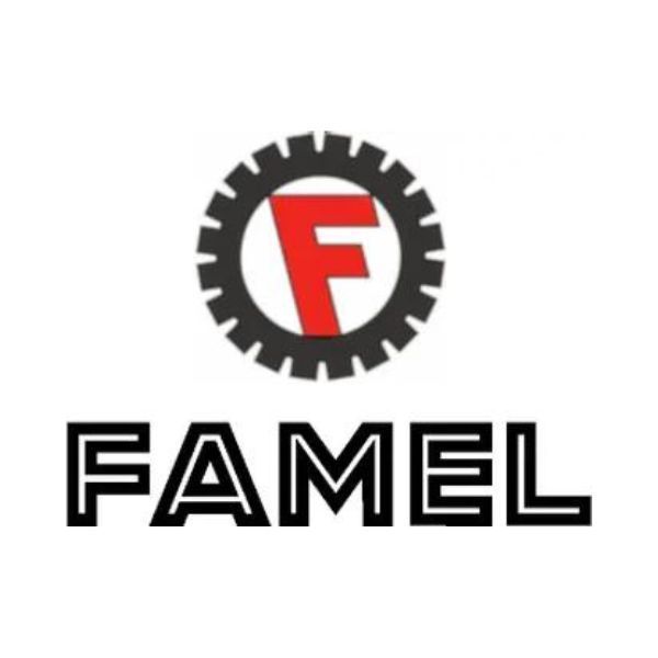 FAMEL Logo