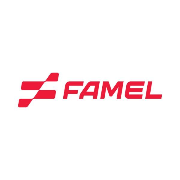 FAMEL Logo