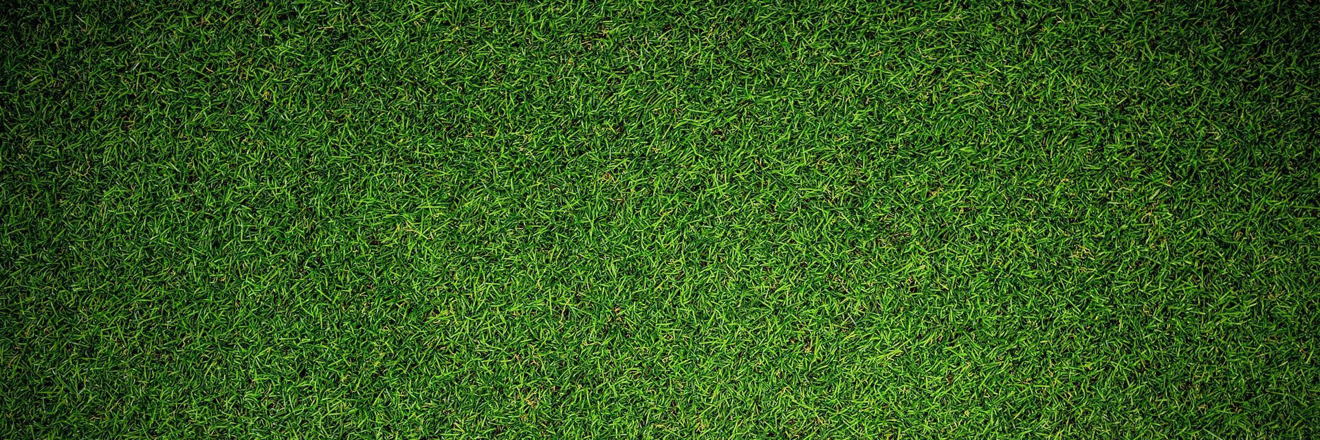 A close up of a green carpet with a black background