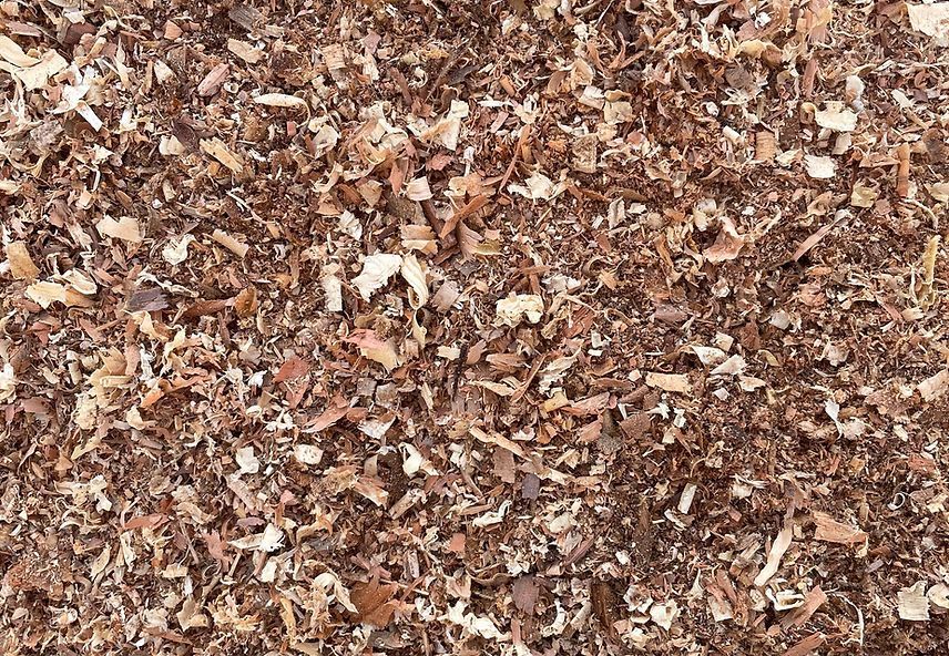 A close up of a pile of wood shavings.