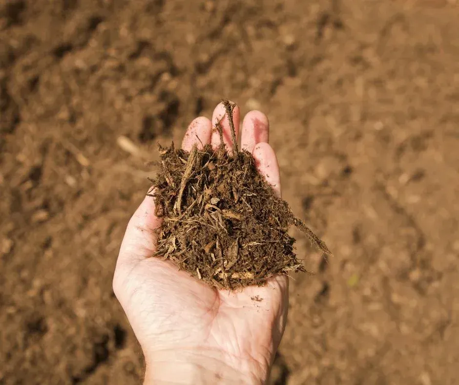 Handful of wood mulch, held up against a brown background, showing its texture.