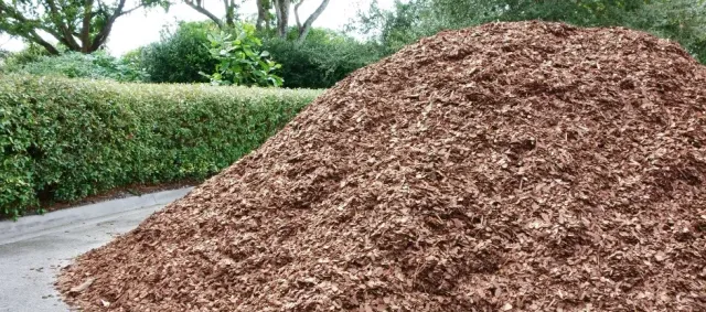 Mulching Tips for Weed Control & Moisture Mastery