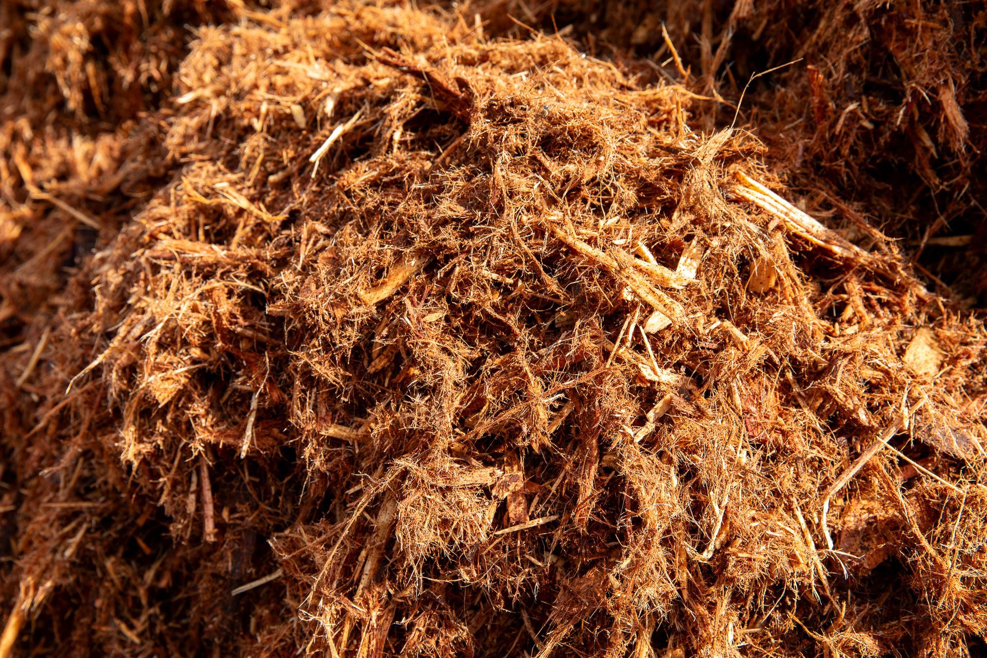 A close up of a pile of wood chips