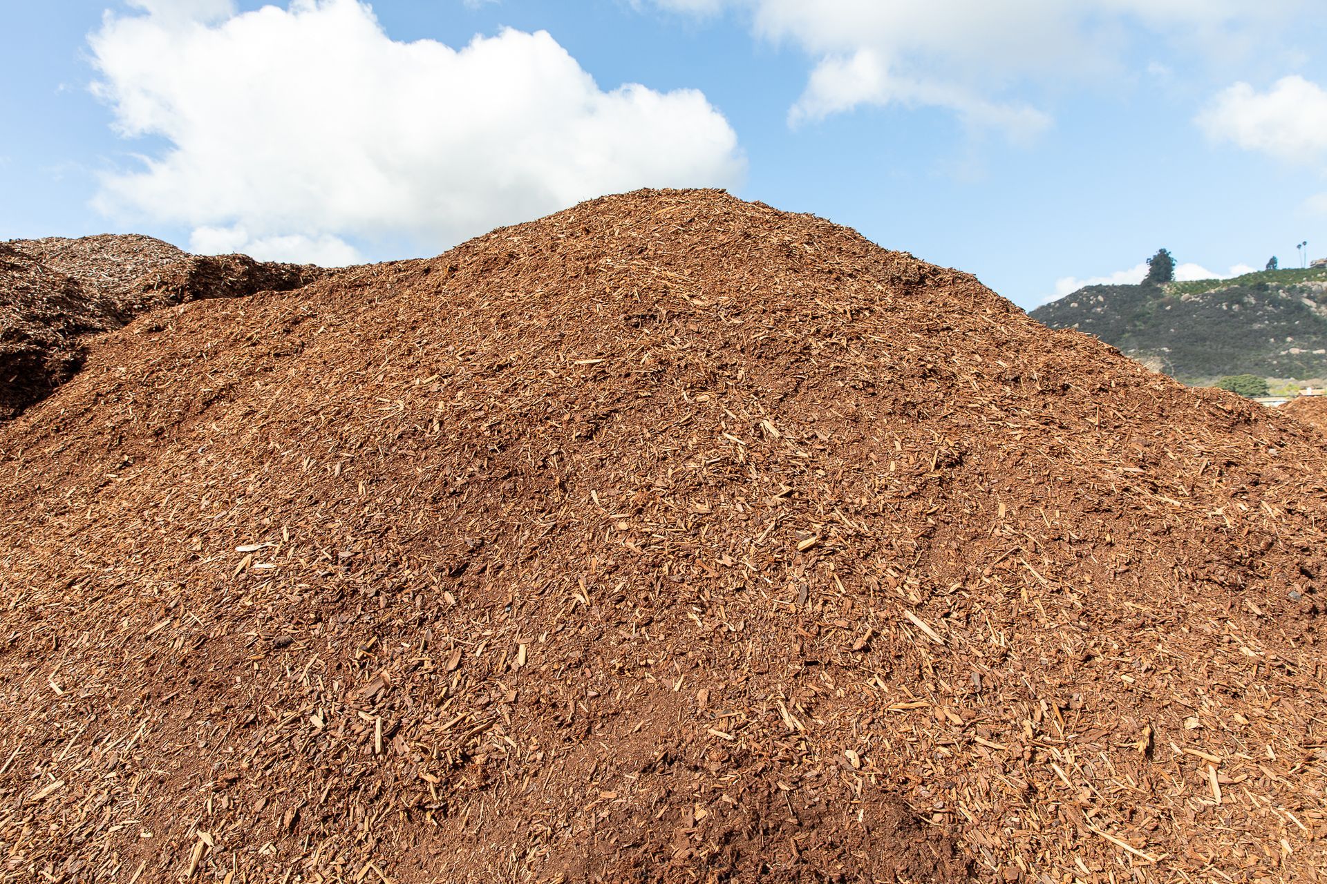 A large pile of wood chips with mountains in the background