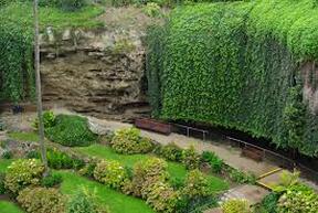 Ivy wall and flowerbed job in Columbia MD