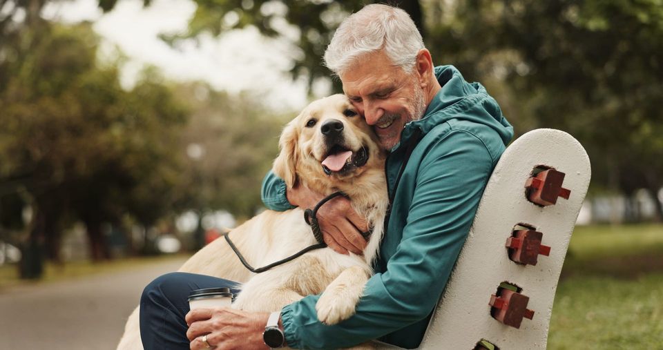 A person sits on a park bench, hugging a smiling golden retriever with a harness.