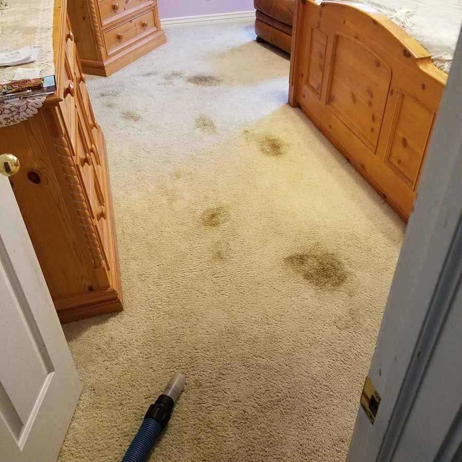 A vacuum cleaner is sitting on the floor in a bedroom next to a bed.