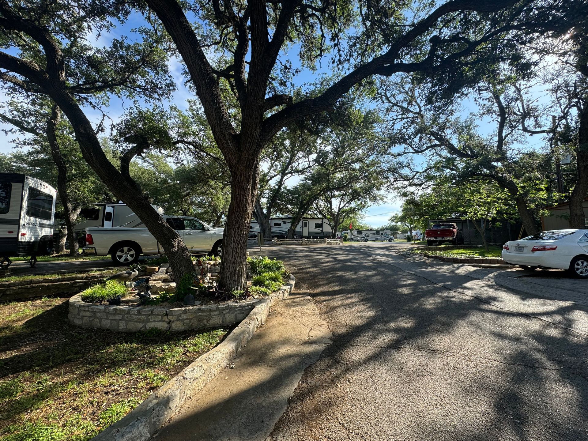 A white car is parked on the side of the road next to a tree.