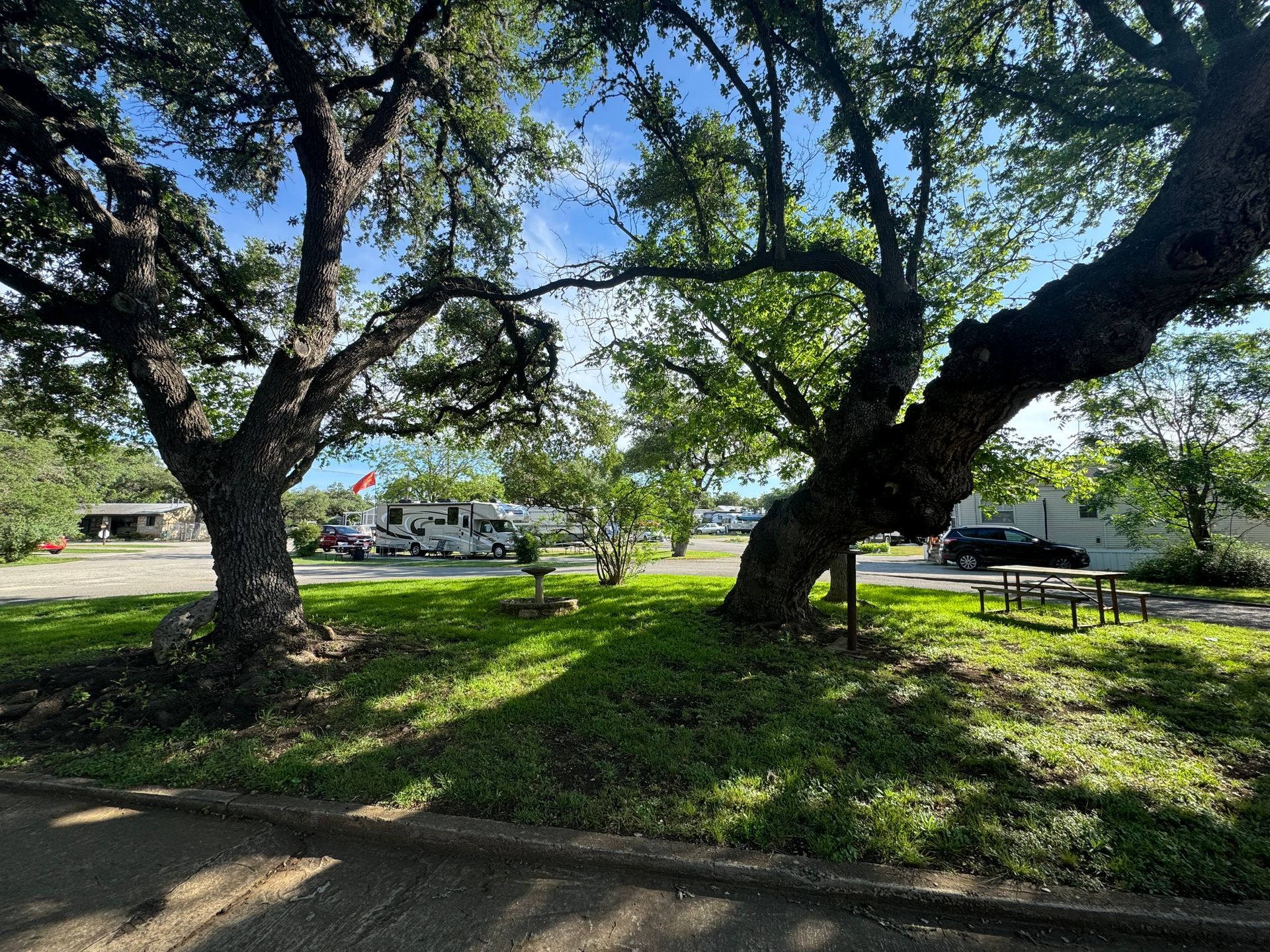 A park with a lot of trees and picnic tables