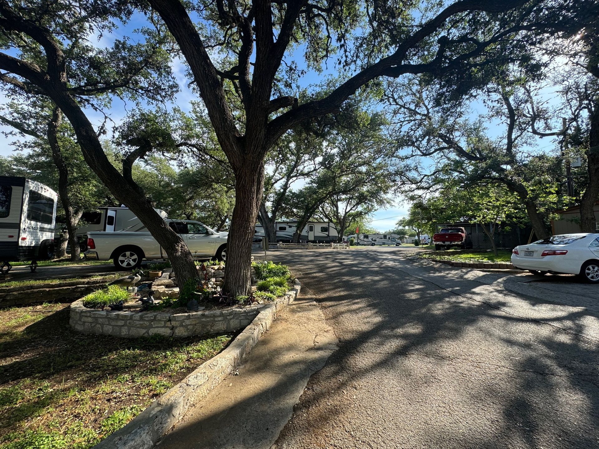 A white car is parked on the side of the road next to a tree.