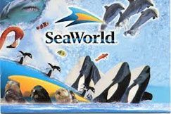 A poster for seaworld with dolphins and birds on it.