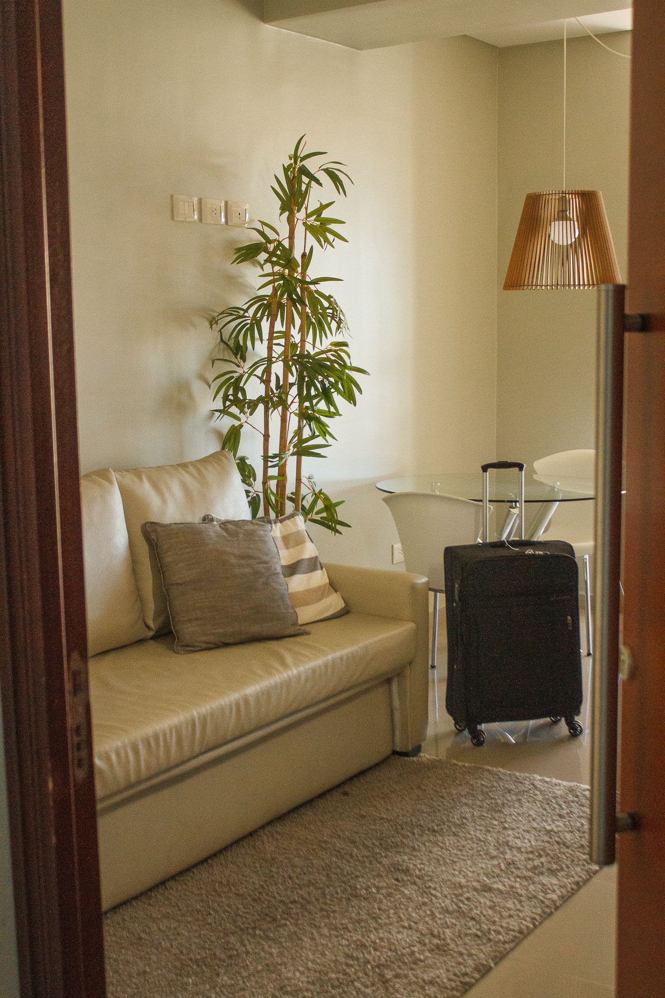 Beige couch with pillows, bamboo plant, and a suitcase in a small room.