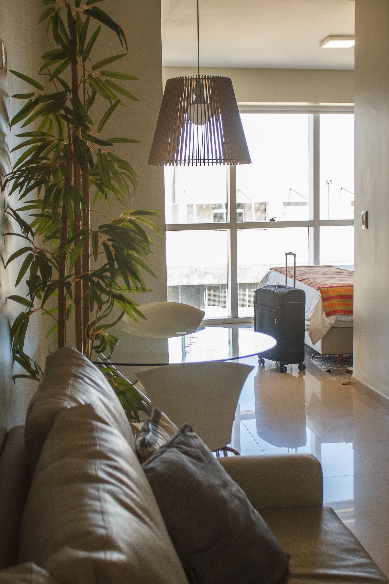 Living room with tall plant, sofa, and view through a doorway to a dining area and sunny window.
