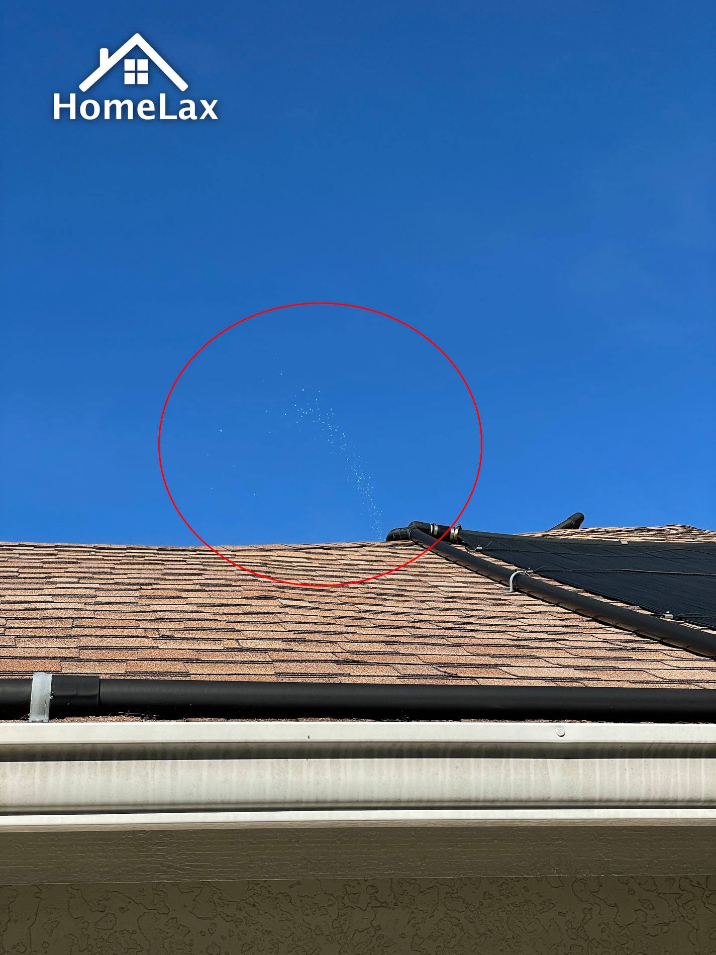A bird is perched on the roof of a house with a blue sky in the background.
