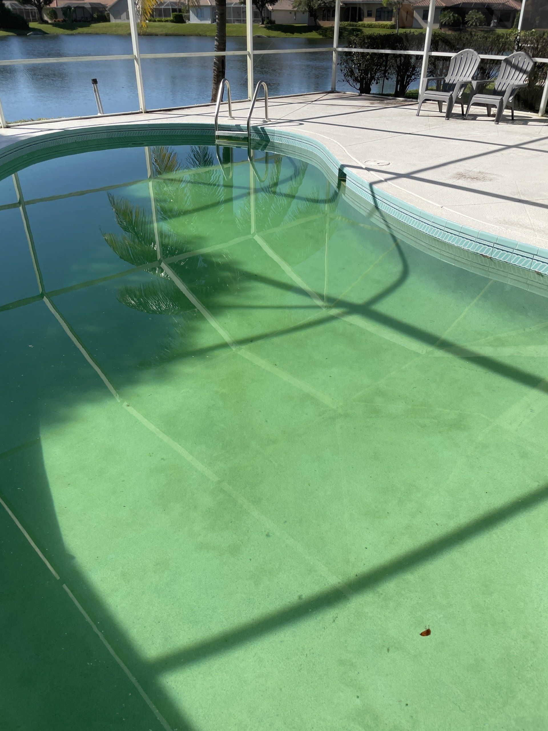 A swimming pool with green water and a fence around it.