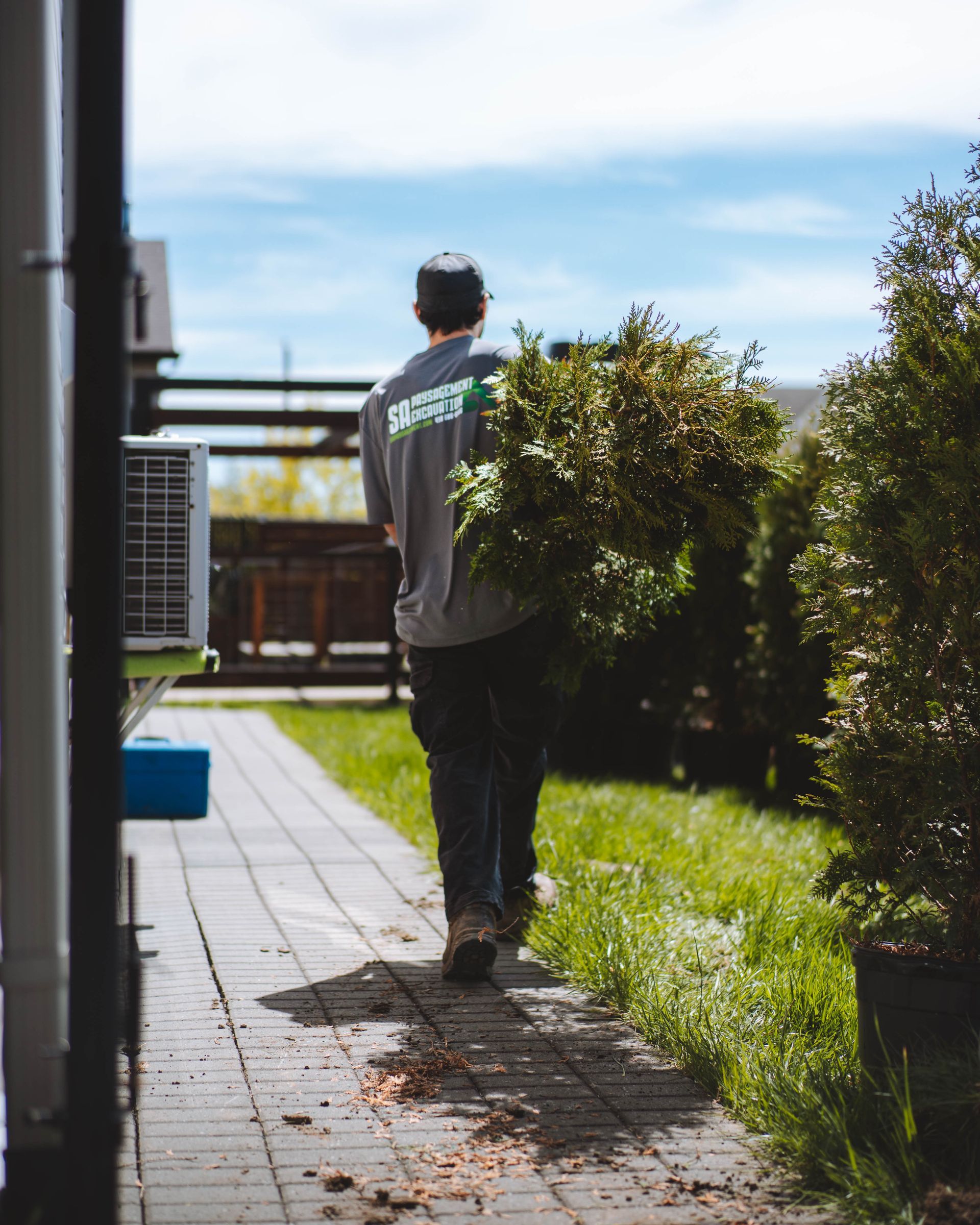Un homme en chemise grise marche sur un chemin pavé, portant un fagot de branches vertes. Cadre extérieur ensoleillé.