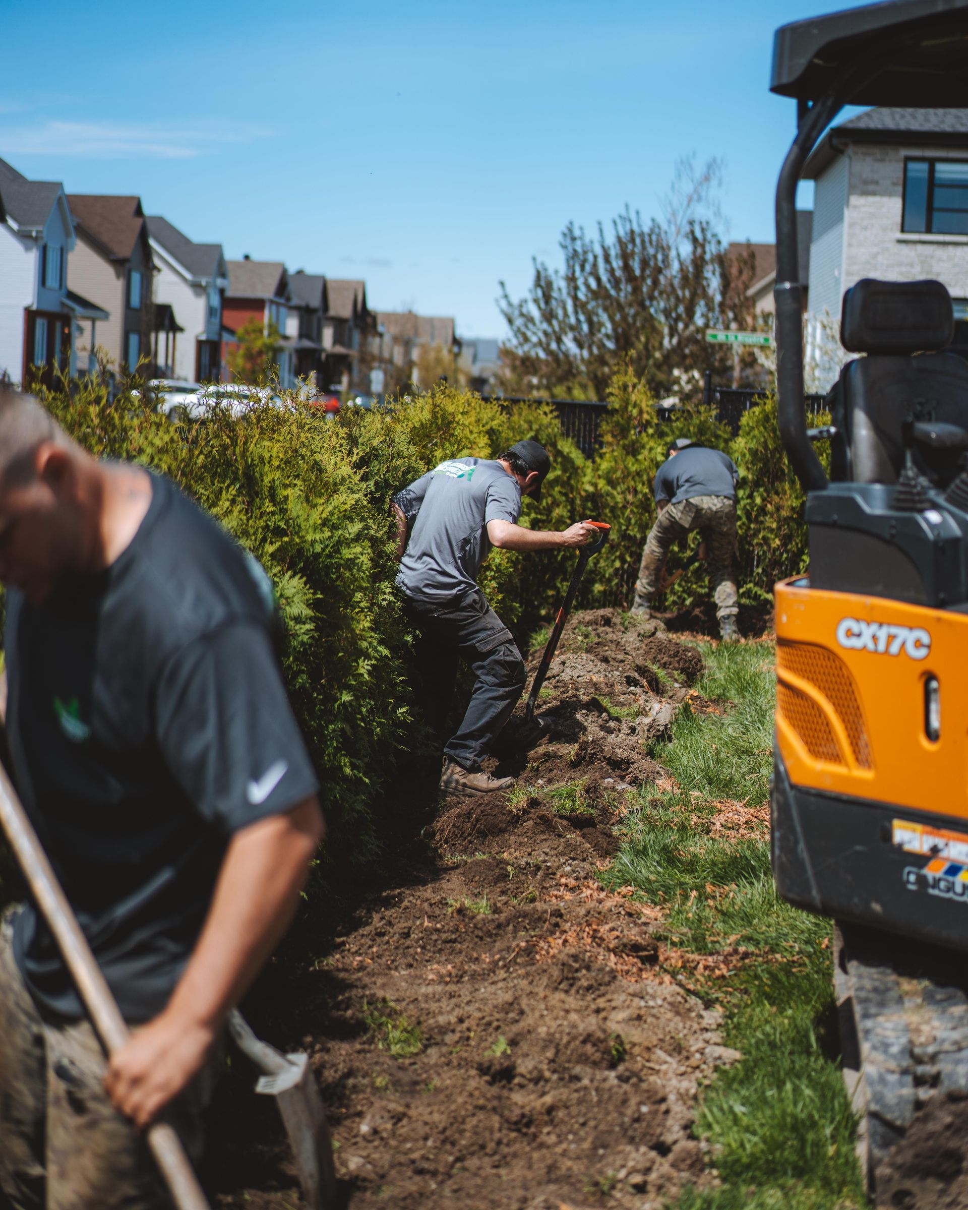 Trois ouvriers creusent une tranchée à côté d'arbustes avec une petite excavatrice par une journée ensoleillée dans un quartier résidentiel.