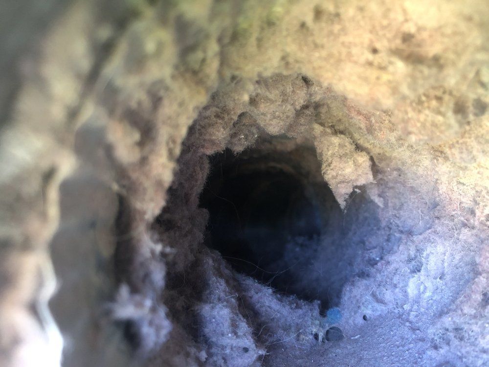 Dryer Vent Before Cleaning