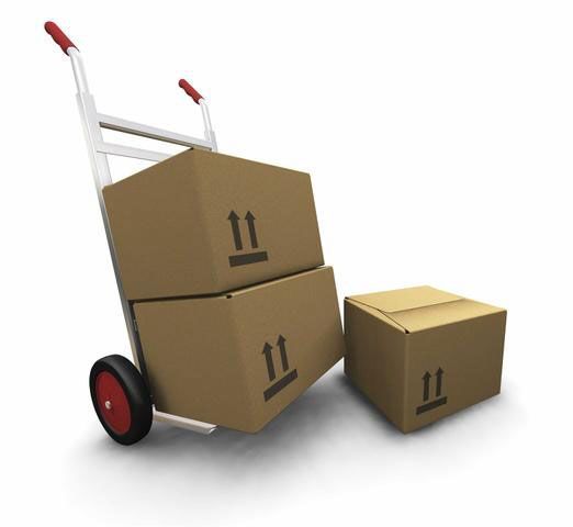 FLETES Y MUDANZAS DANY DE GUZMÁN EN TOLUCA